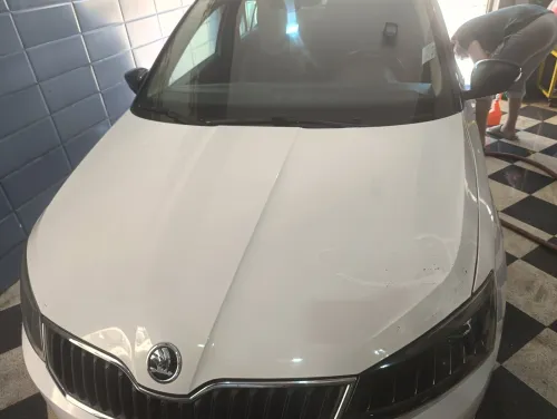 Skoda Fabia 2016 Style (avec toit panoramique)