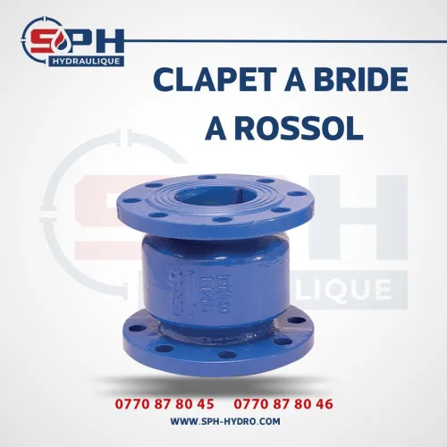 CLAPET A BRIDE A ROSSOL