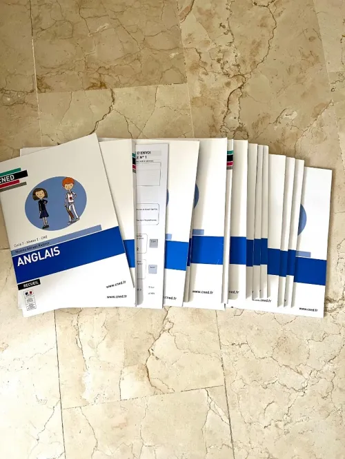 Programme cned cm2 neuf
