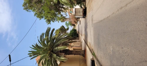 Vente Terrain Oran Oran