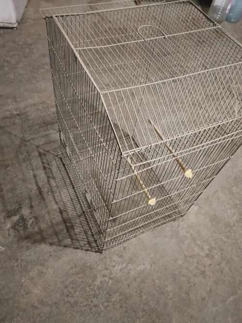 Cages أقفاص