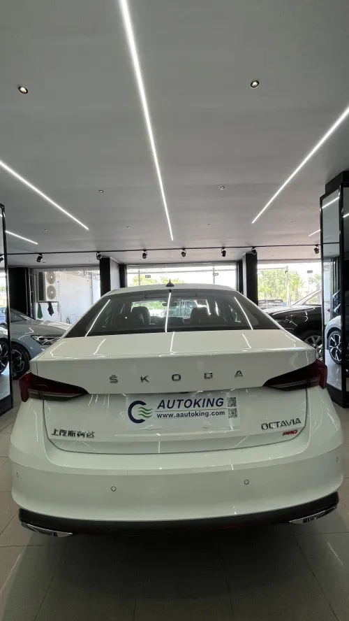 Skoda Octavia 2025 Pro