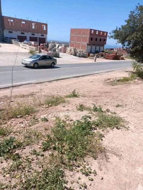 Vente Terrain Tlemcen Ghazaouet