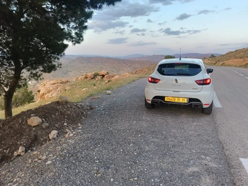 Renault Clio 4 RS 2015 Clio 4 RS