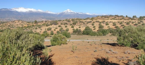 Vente Terrain Bouira Bechloul