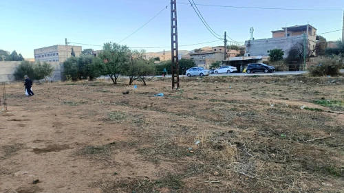 Vente Terrain Agricole Tlemcen Ain fezza
