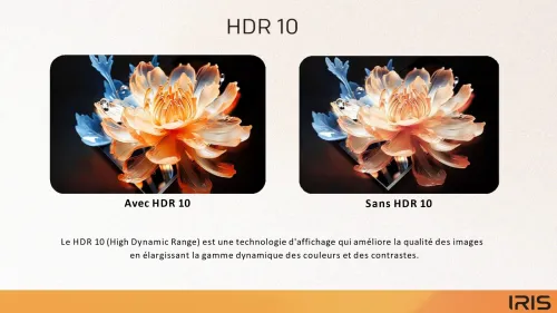 TV IRIS 65 G5020 ANDROID 14 GOOGLE TV 55POUCES UHD 4K