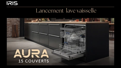 IRIS LAVE VAISSELLE 15 COUVERT INOX