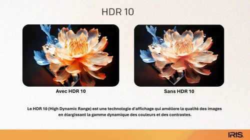 TV IRIS 43 Q4030 QLED ANDROID 14 GOOGLE TV 43POUCES FHD