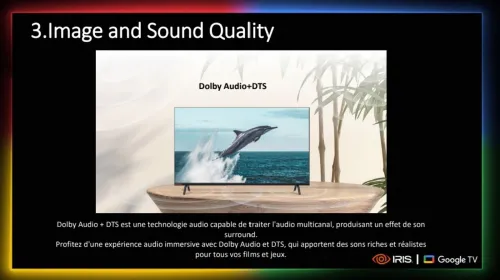TV IRIS 65 G5030 GOOGLE TV 65POUCES UHD 4K LED
