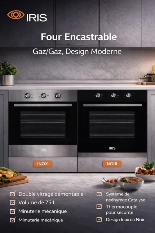 FOUR IRIS ENCASTRABLE GAZ-GAZ