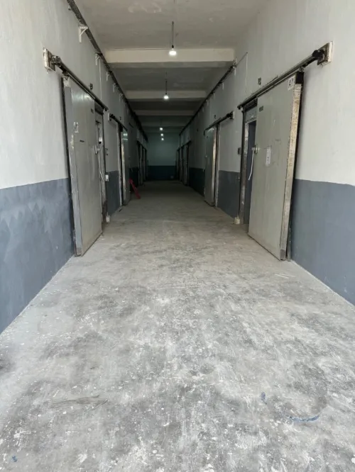 Location bien immobilier Oran Es senia