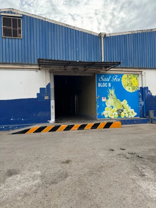 Location bien immobilier Oran Es senia