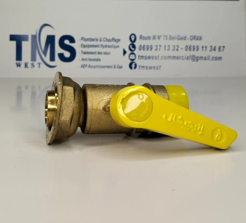 Robinet d'arrêt compteur Gaz 6/20 energical