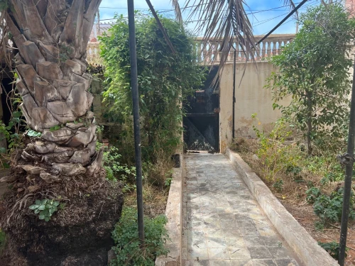 Vente Terrain Oran Ain el turck