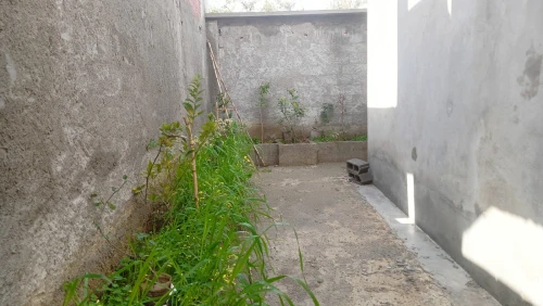 Vente Villa Boumerdès El kharrouba