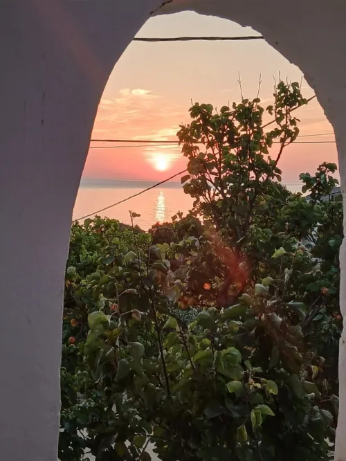 Location vacances Villa Tipaza Larhat