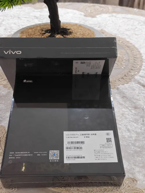 Vivo x300 pro Vivo x300 pro