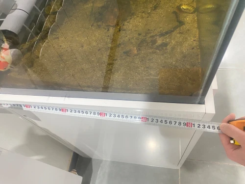 Aquarium grand format