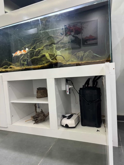 Aquarium grand format