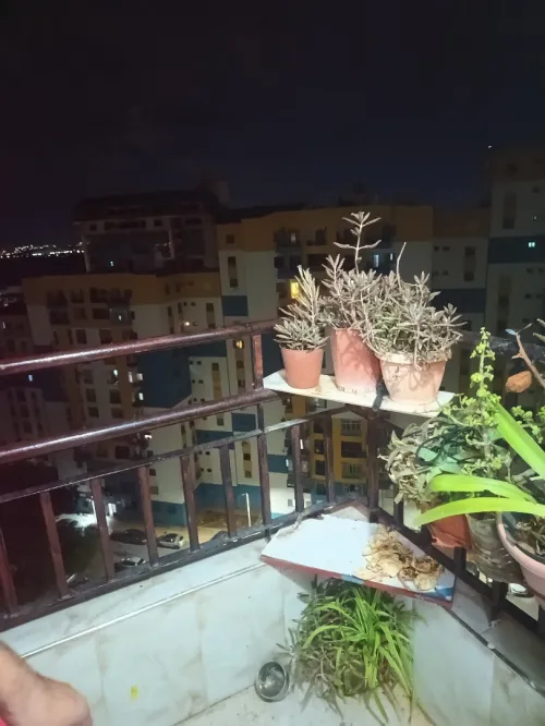 Vente Appartement F3 Alger El achour