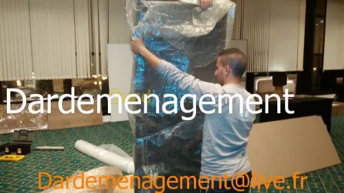 DEMENAGEMENT TRANSPORT MANUTENTIONS