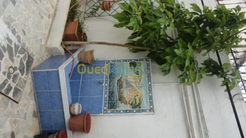 aménagement  ameublement décoration pu