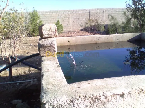 pompe hydraulique solaire Lorentz