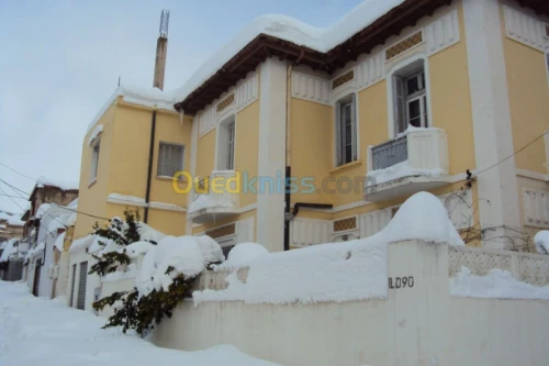 Vente Villa Medea Medea