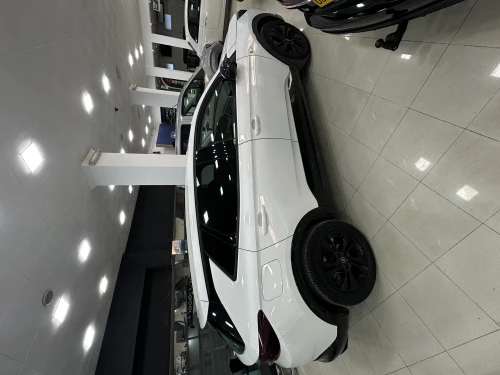 Car Rental