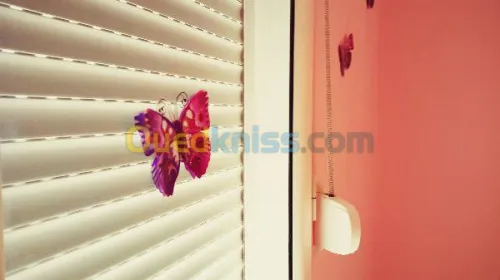 menuiserie aluminium ,PVC 