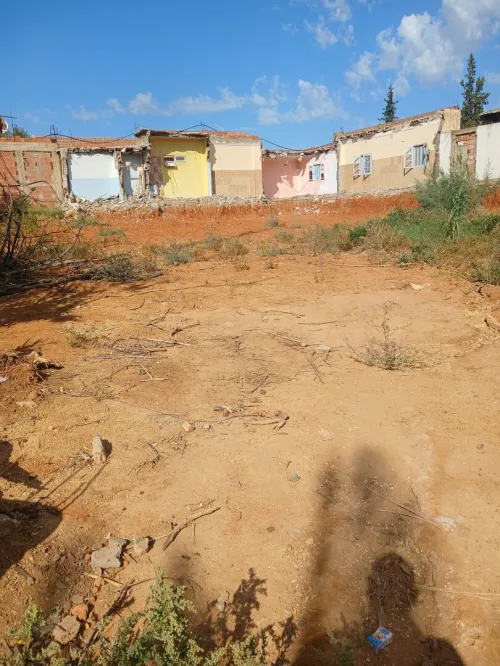 Vente Terrain Chlef Ouled abbes