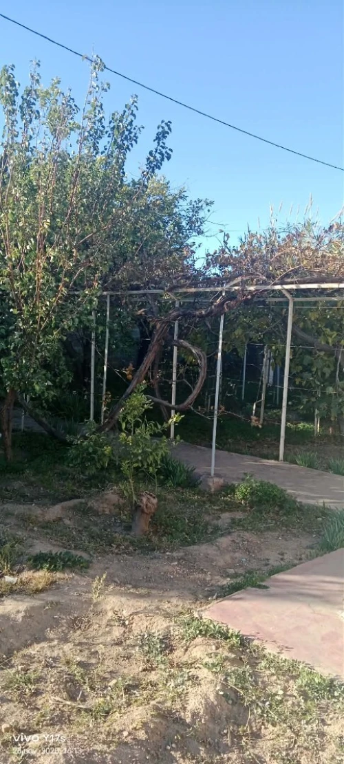 Vente Villa Tlemcen Tlemcen