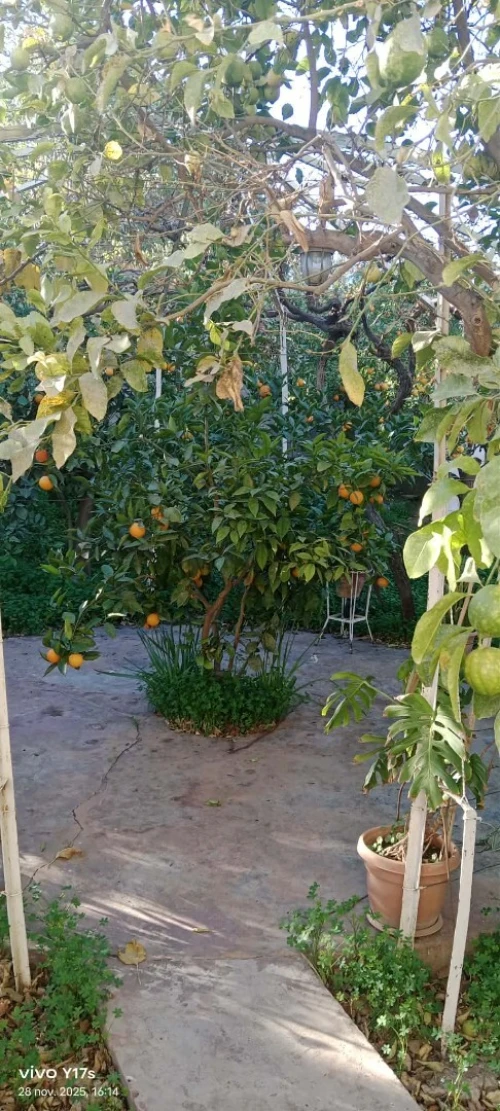 Vente Villa Tlemcen Tlemcen