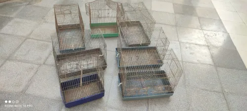 Cage d'oiseaux 