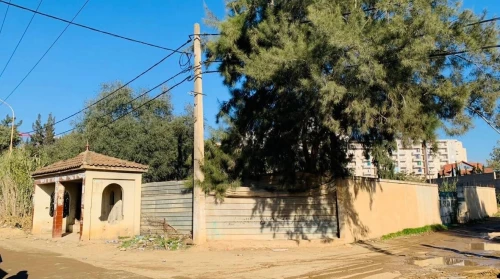 Vente Terrain Tipaza Kolea