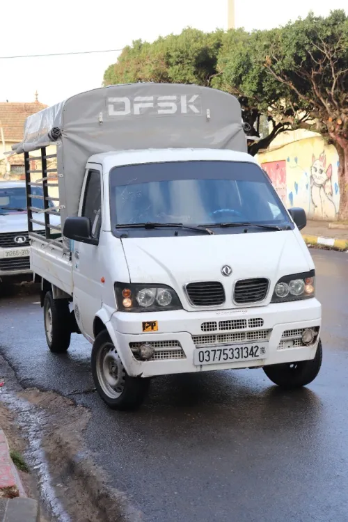 DFSK Mini Truck 2013 SC 2m30