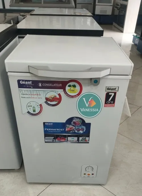 Congélateur Marque Géant 168L