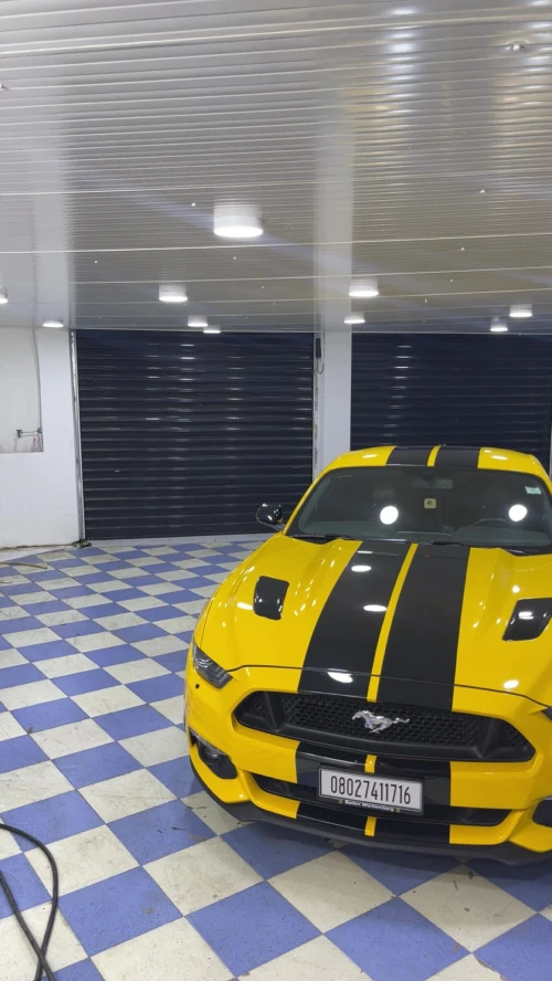 Ford Shelby 500GT 2017 Shelby 500GT