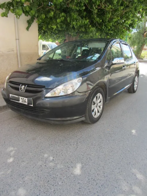 Peugeot 307 2004 
