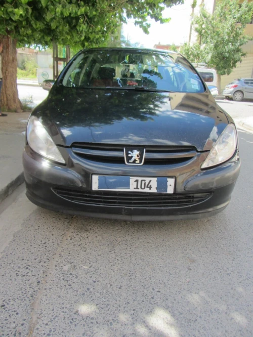 Peugeot 307 2004 