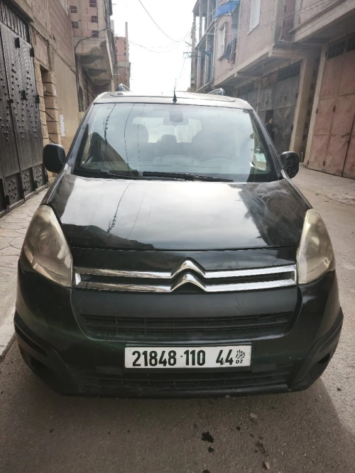 Citroen Berlingo 2010 