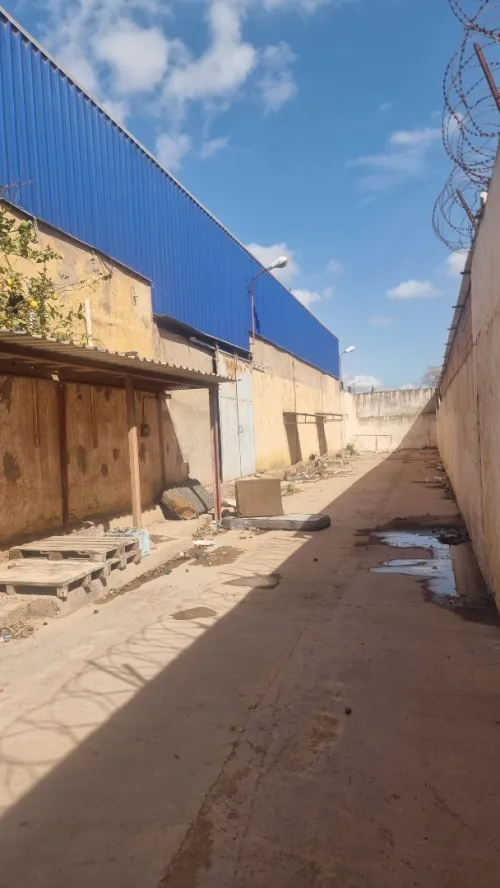 Vente Hangar - Usine Oran Hassi ben okba