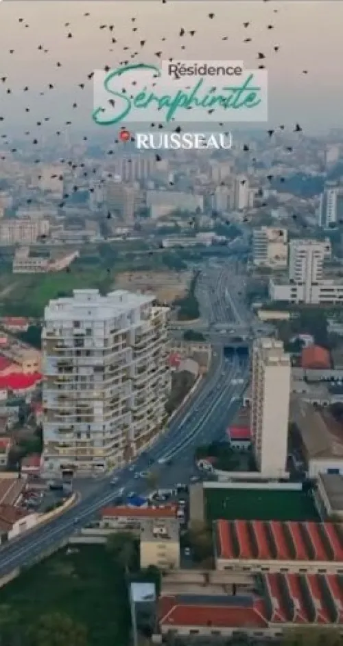 Vente Appartement F3 Alger Belouizdad 3