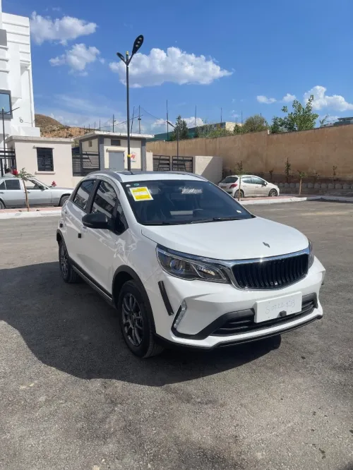 Livan X3 Pro  2026 Automatique (Avec toi ouvrant )