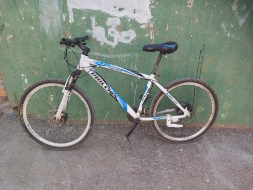 Velo