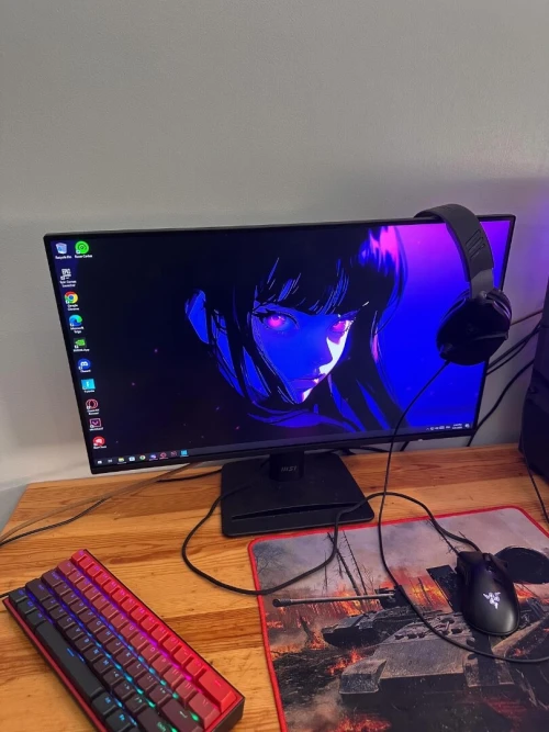 Moniteur MSI PRO MP252 E2 - 25 Pouces - 120Hz - Neuf