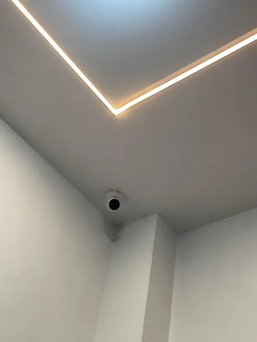 Mk Surveillance