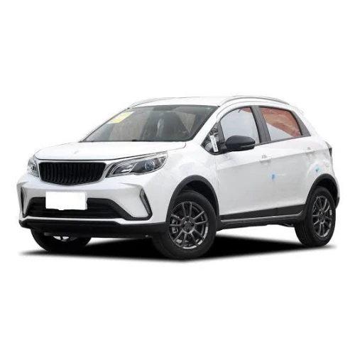 Livan X3 Pro  2025 X3 Pro automatique + Toit 
