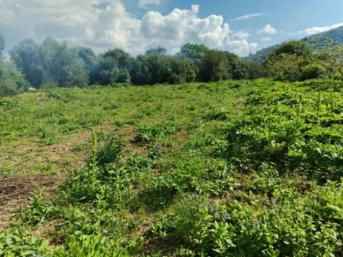 Location Terrain Bouira Lakhdaria